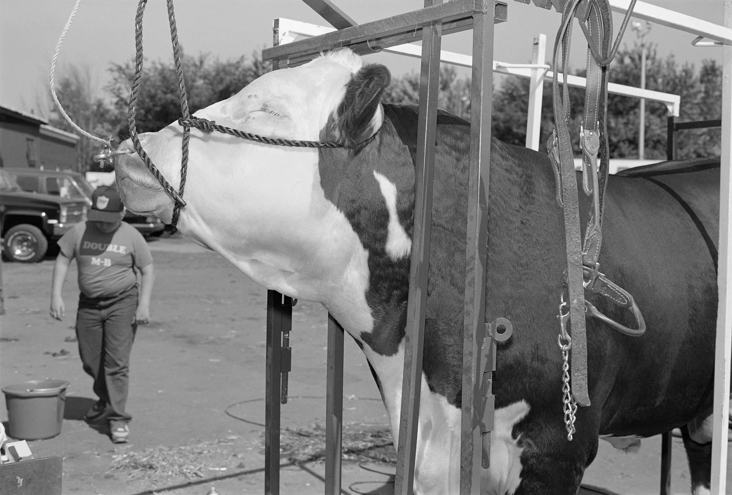 Moral I — Sergio Purtell